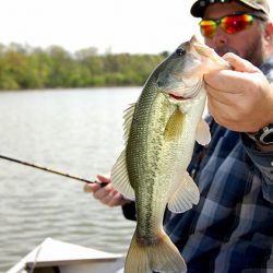 Bass Fishing