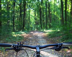 mountain biking