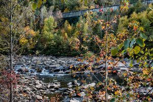 Ocoee River