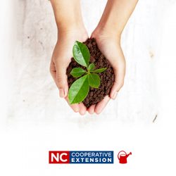 Cherokee County Extension Master Gardeners