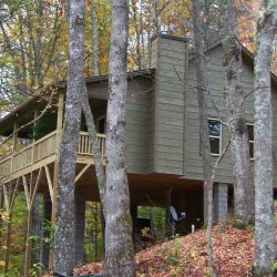 The Cabins at Long Branch