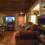 Tulip Cabin-Living Room